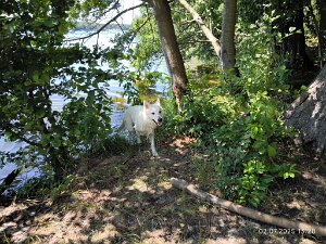 Am Wasser